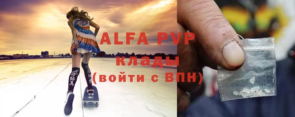 ПСИЛОЦИБИНОВЫЕ ГРИБЫ Горно-Алтайск