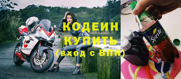 ПСИЛОЦИБИНОВЫЕ ГРИБЫ Горно-Алтайск